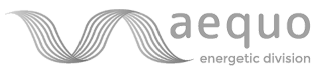 logo-aequo-energetic-division-grigio