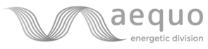 logo-aequo-energetic-division-grigio